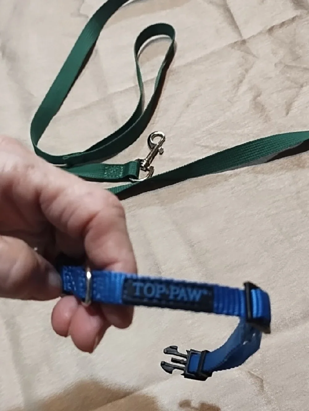 Top Paw Green Leash with Blue Collar Small Dog Never Used.
